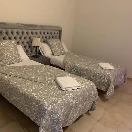 فيلة Balsam *